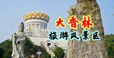 拔插高潮视频在线中国浙江-绍兴大香林旅游风景区